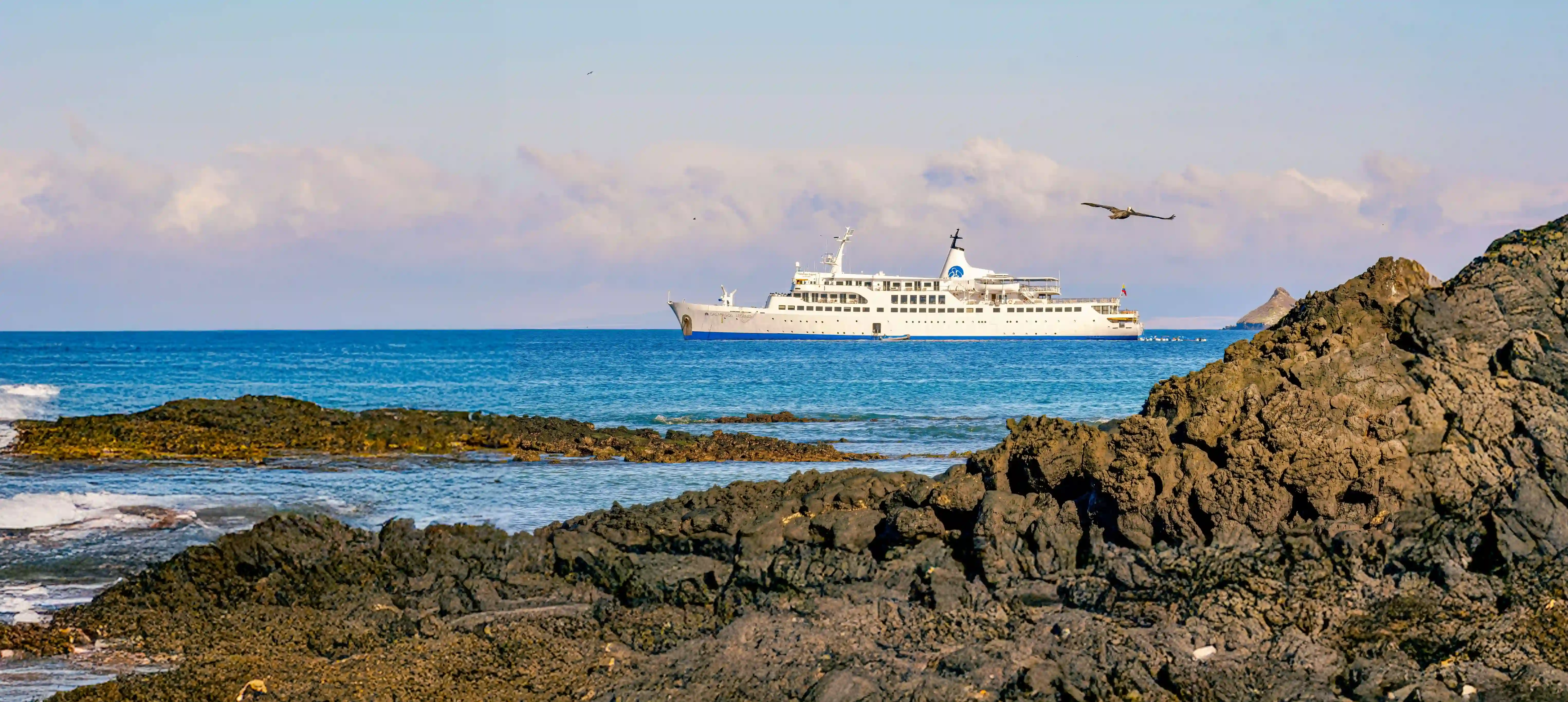 Galapagos様おまとめ IMG_1595.jpg?v=1730566491&